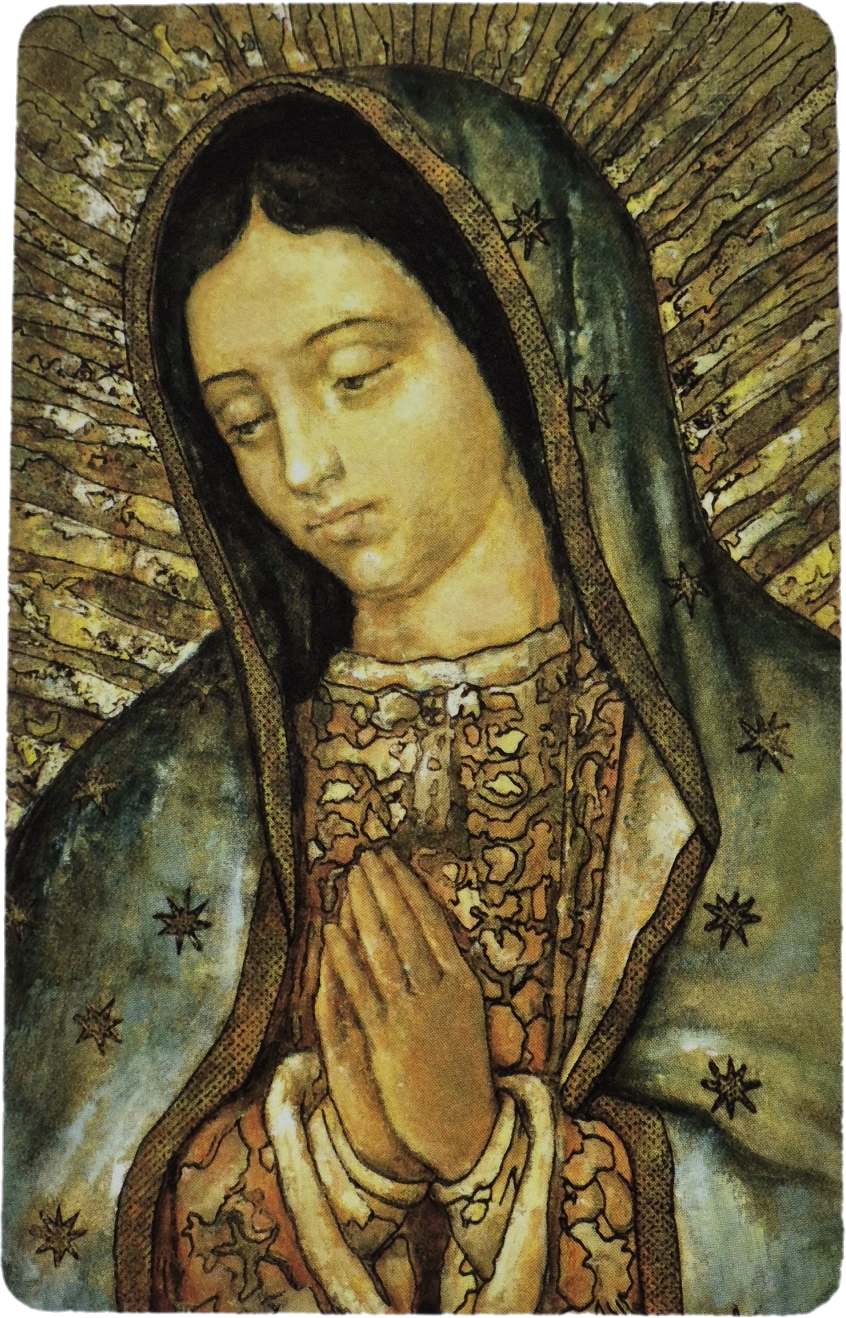 M903 Our Lady of Guadeloupe