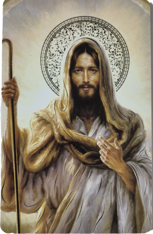 M971 The Good Shepherd